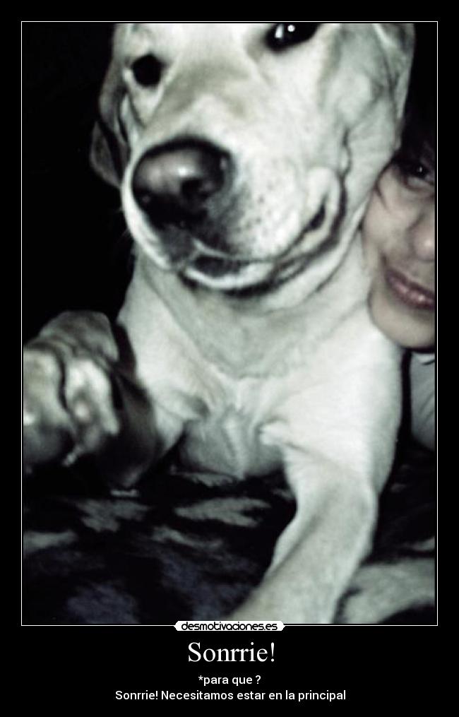 Sonrrie! - 