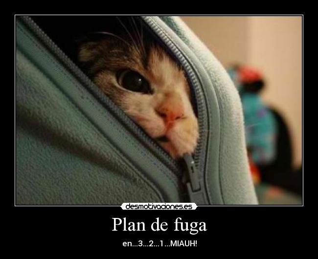 Plan de fuga - 