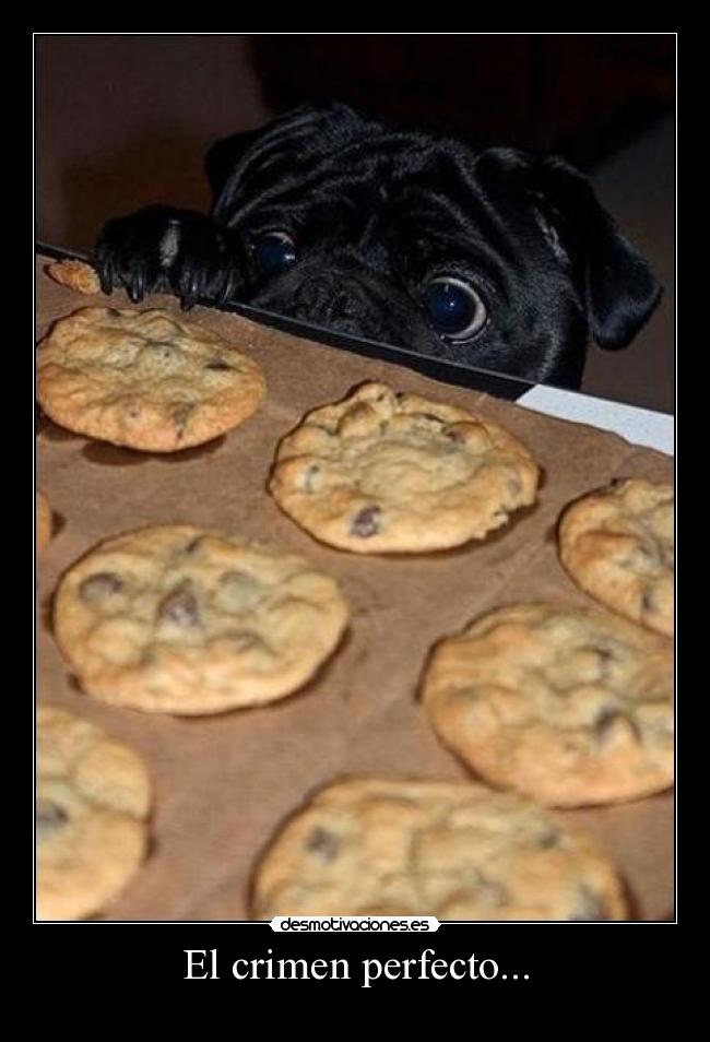 El crimen perfecto... - 