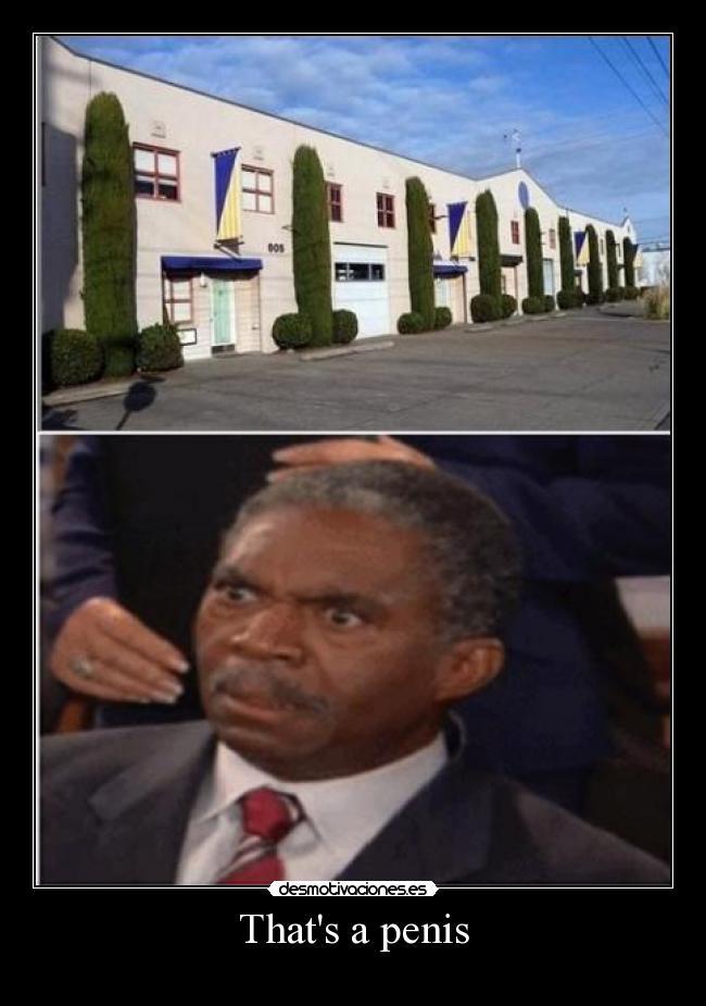Thats a penis -