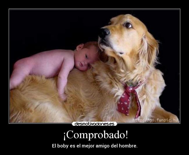 ¡Comprobado! -