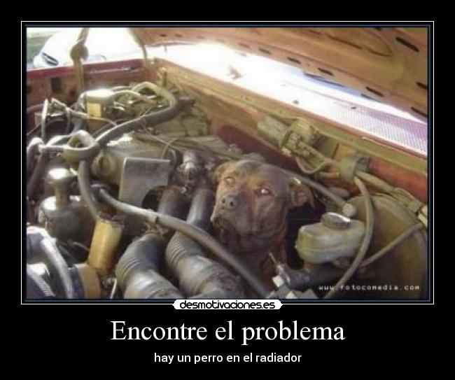 Encontre el problema - hay un perro en el radiador