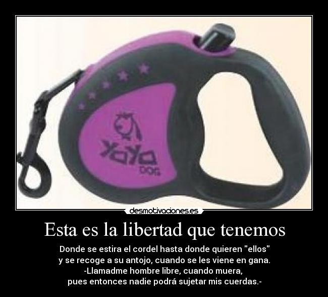 Esta es la libertad que tenemos -