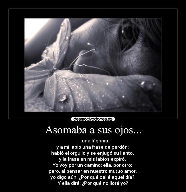 carteles becquer rima perdon desmotivaciones