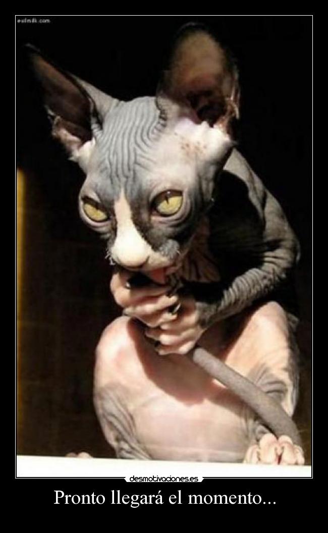 Pronto llegará el momento... -  
