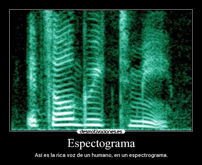 Espectograma - Así es la rica voz de un humano, en un espectrograma.