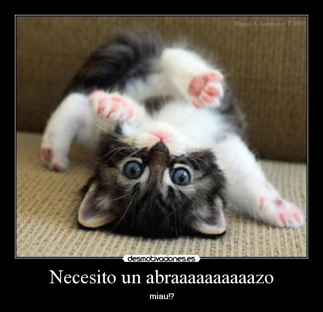 Necesito un abraaaaaaaaaazo - 