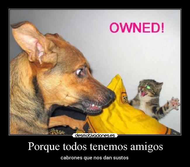 Porque todos tenemos amigos - cabrones que nos dan sustos