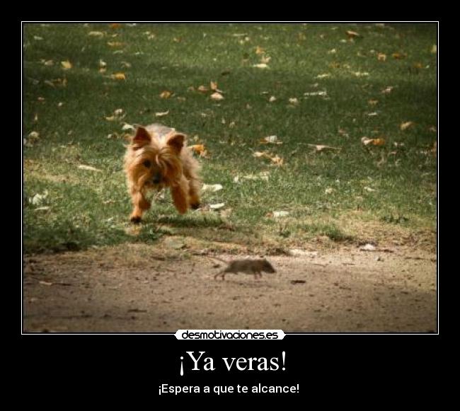 ¡Ya veras! -