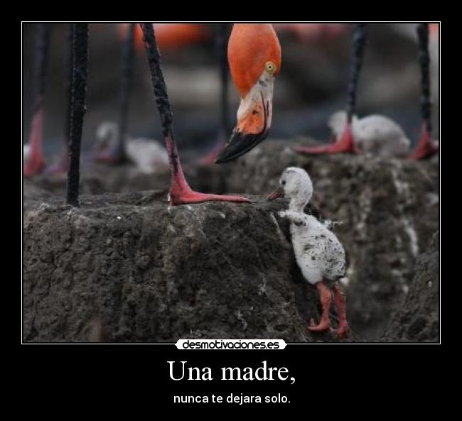 Una madre, -