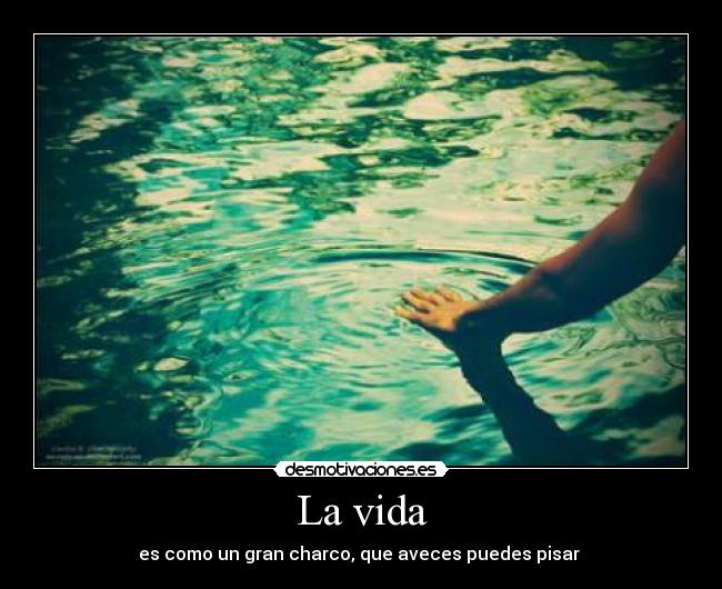 La vida - 