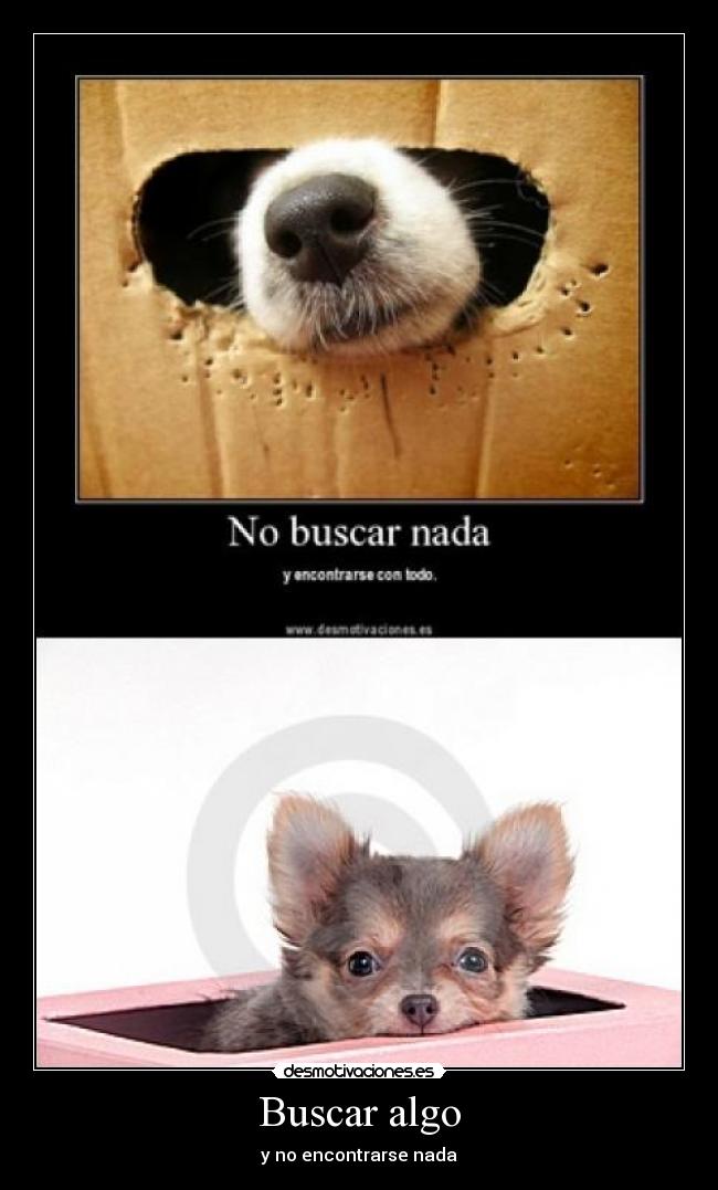 carteles buscar algo desmotivaciones