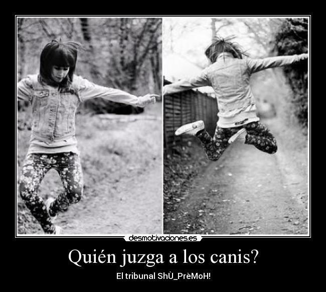 Quién juzga a los canis? - El tribunal ShÙ_PrèMoH!
