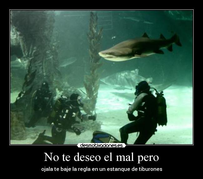 No te deseo el mal pero -