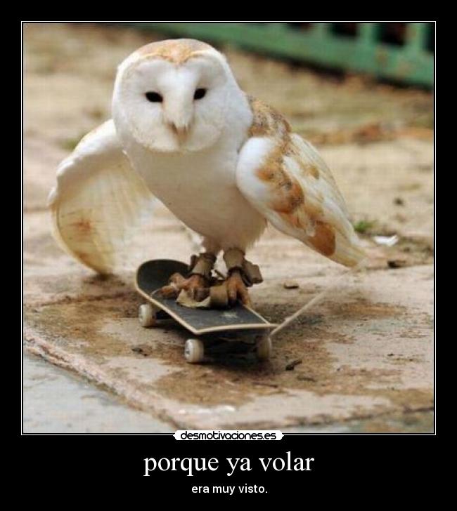porque ya volar -