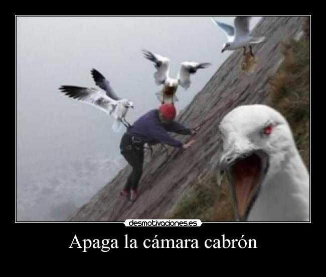 Apaga la cámara cabrón - 