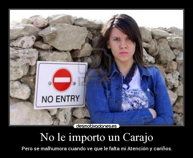 No le importo un Carajo -