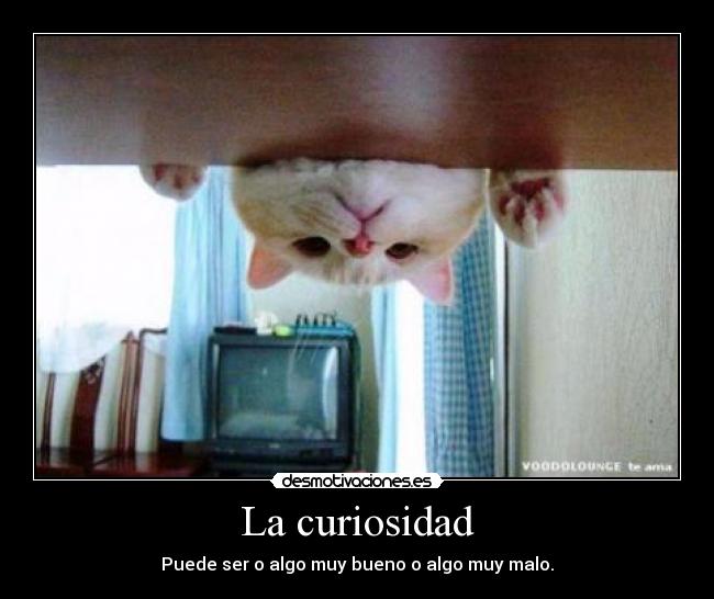 La curiosidad - 
