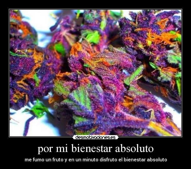 por mi bienestar absoluto - me fumo un fruto y en un minuto disfruto el bienestar absoluto