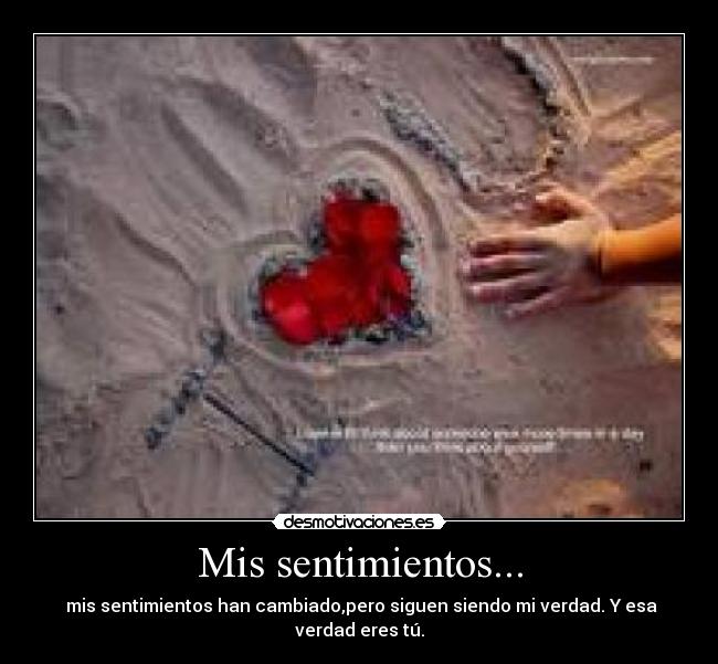 Mis sentimientos... -  mis sentimientos han cambiado,pero siguen siendo mi verdad. Y esa verdad eres tú.