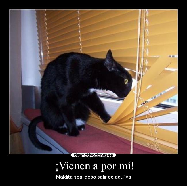 ¡Vienen a por mí! - Maldita sea, debo salir de aquí ya