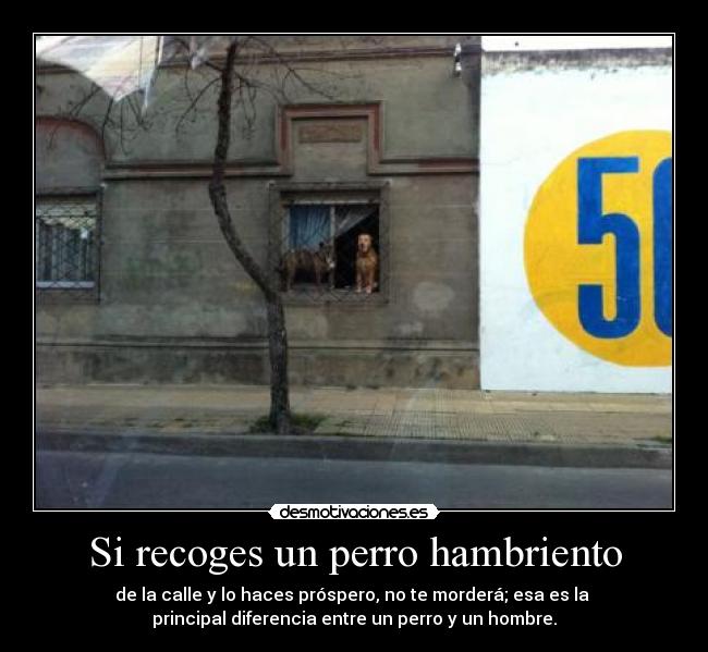 Si recoges un perro hambriento -