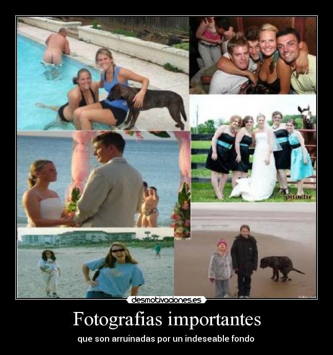 Fotografias importantes - que son arruinadas por un indeseable fondo 