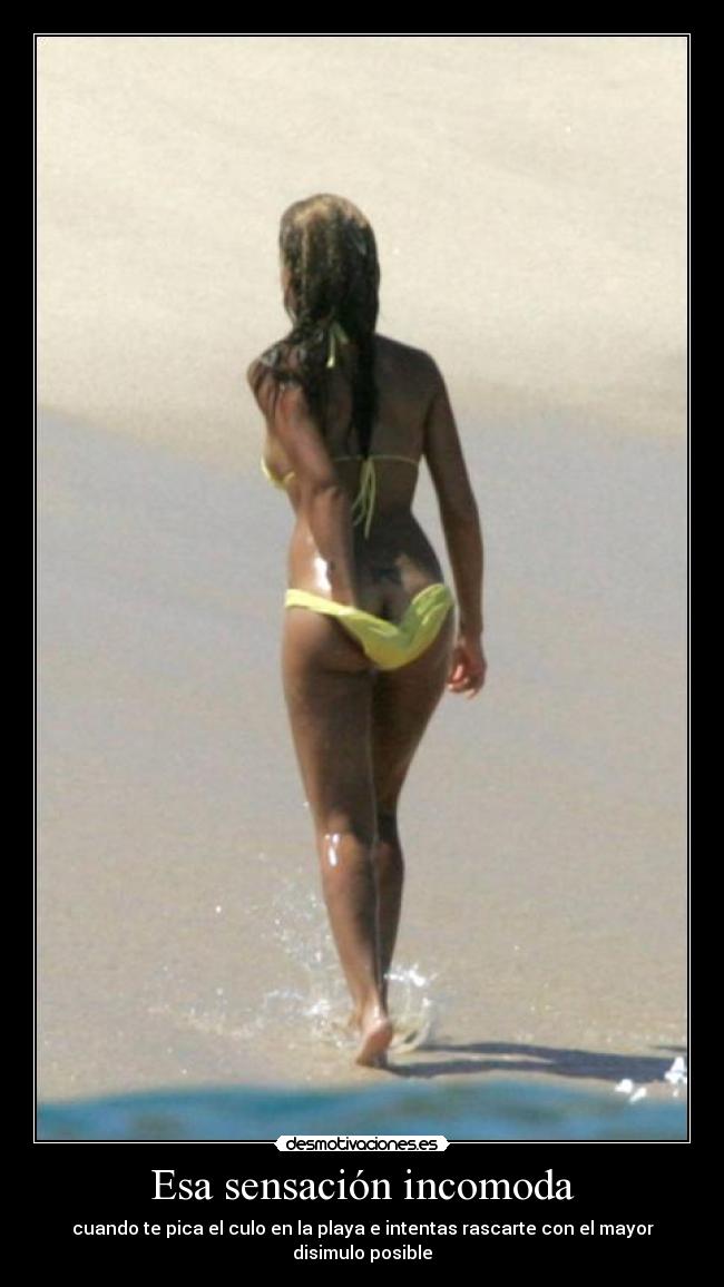 carteles picores playa desmotivaciones