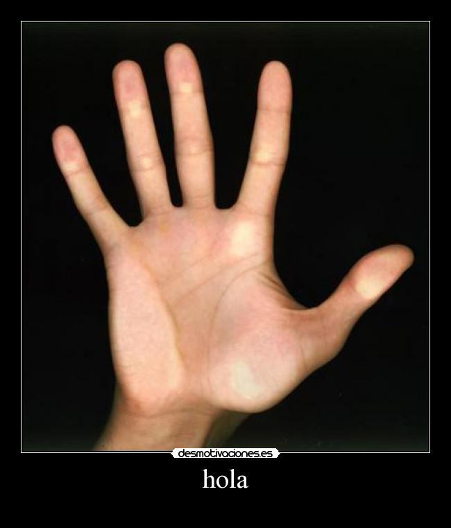hola -