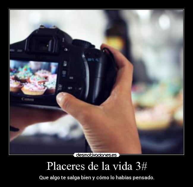 Placeres de la vida 3# - Que algo te salga bien y cómo lo habías pensado.