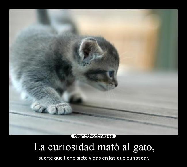 La curiosidad mató al gato, -