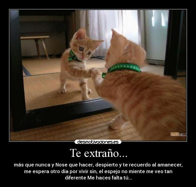 Te extraño... - más que nunca y Nose que hacer, despierto y te recuerdo al amanecer,
me espera otro dia por vivir sin, el espejo no miente me veo tan
diferente Me haces falta tú...