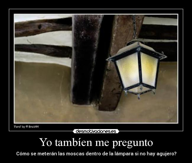Yo tambíen me pregunto - Cómo se meterán las moscas dentro de la lámpara si no hay agujero?