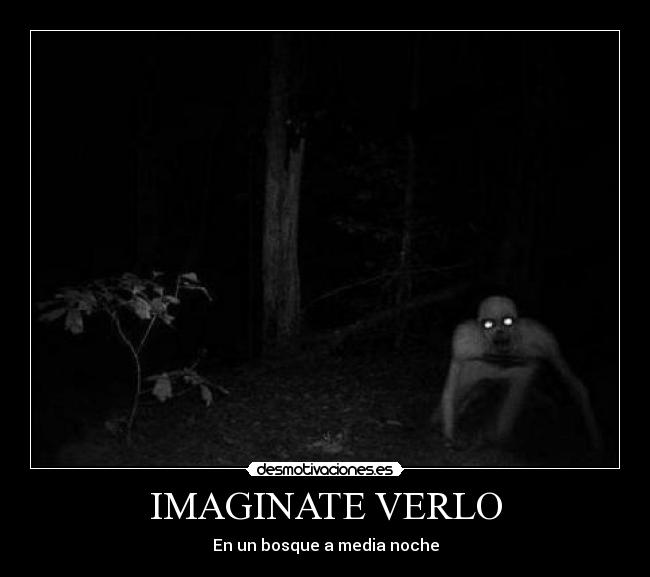 IMAGINATE VERLO - En un bosque a media noche