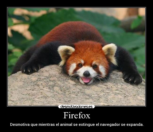 Firefox -