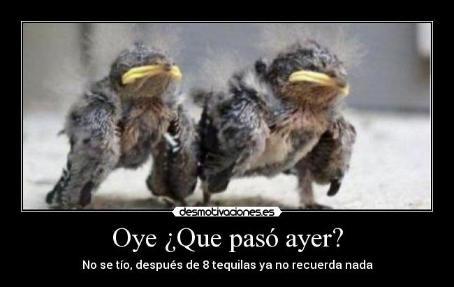 Oye ¿Que pasó ayer? - No se tío, después de 8 tequilas ya no recuerda nada