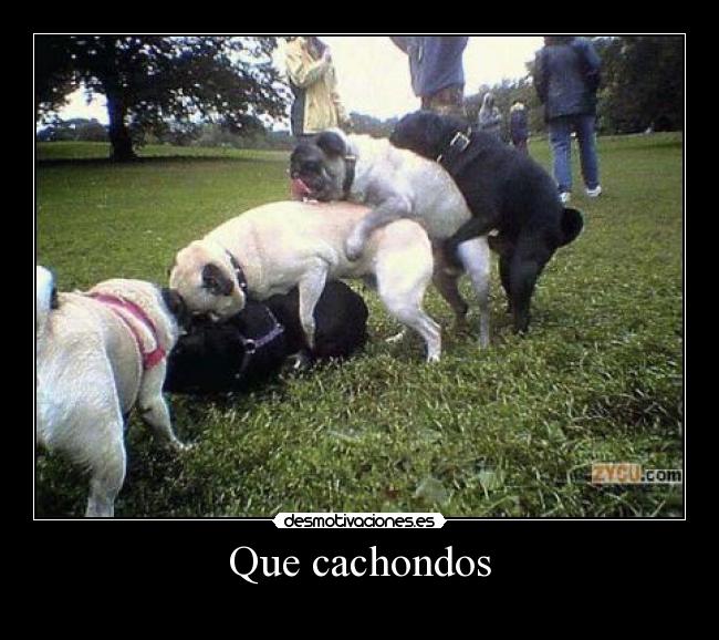 carteles asdfsaf desmotivaciones