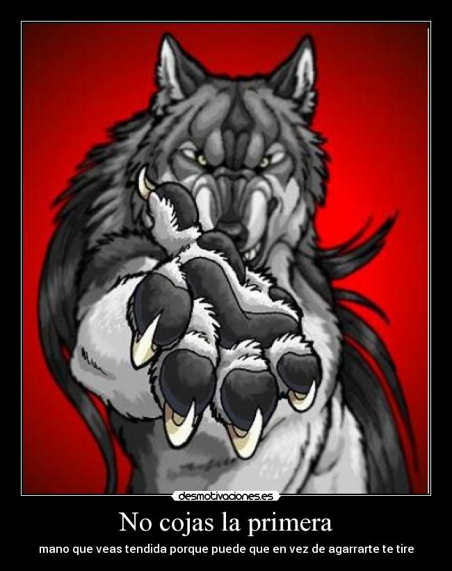 No cojas la primera - 