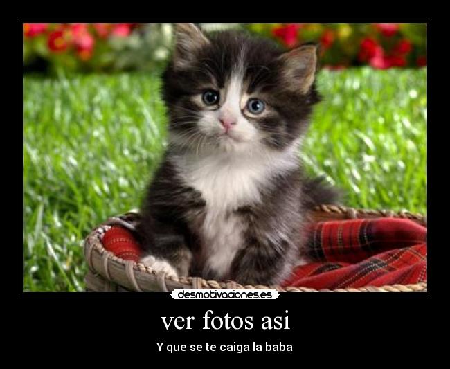 ver fotos asi - Y que se te caiga la baba