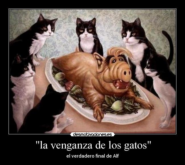 la venganza de los gatos - el verdadero final de Alf