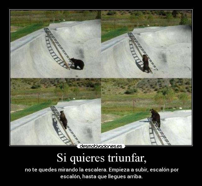 Si quieres triunfar, -