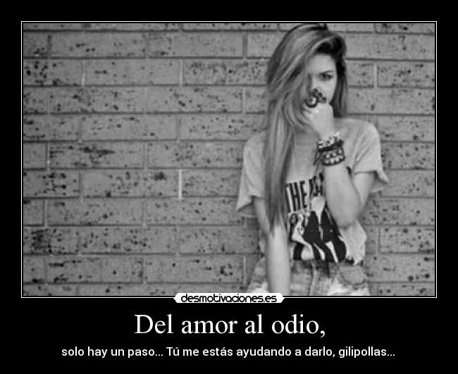 Del amor al odio, - solo hay un paso... Tú me estás ayudando a darlo, gilipollas...