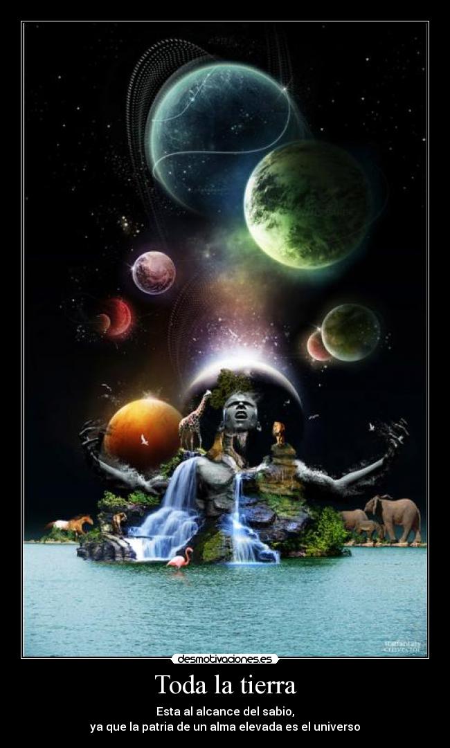 Toda la tierra - 