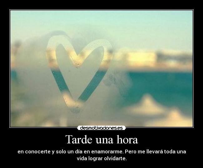 Tarde una hora - en conocerte y solo un día en enamorarme. Pero me llevará toda una
vida lograr olvidarte.