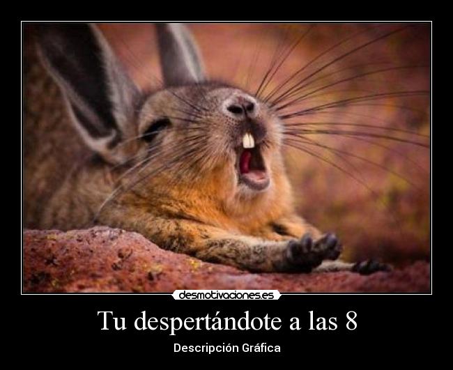 Tu despertándote a las 8 - Descripción Gráfica