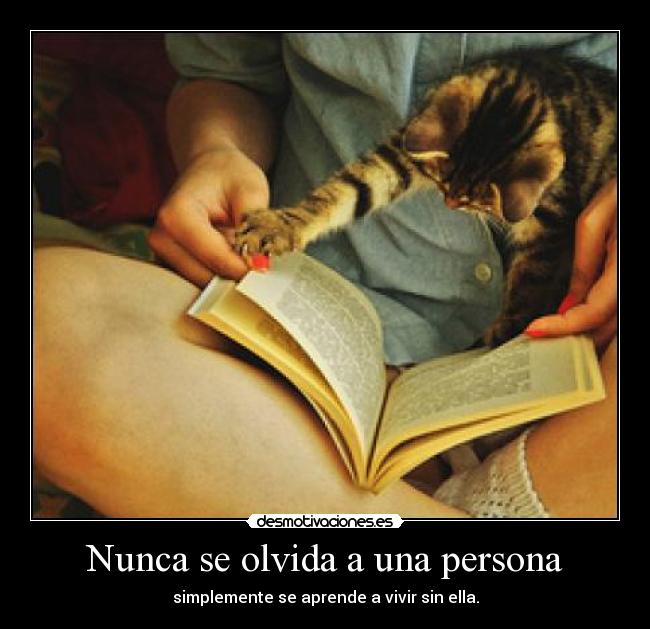 Nunca se olvida a una persona - 