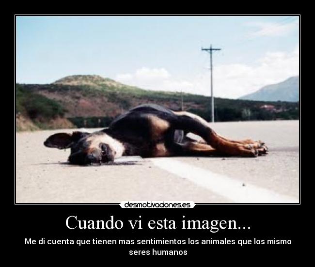 Cuando vi esta imagen... - 