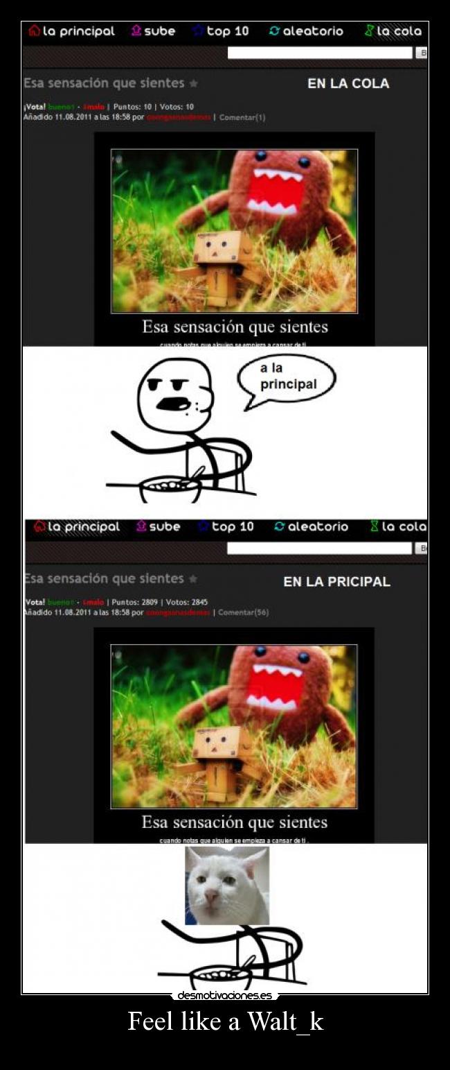 Feel like a Walt_k - 