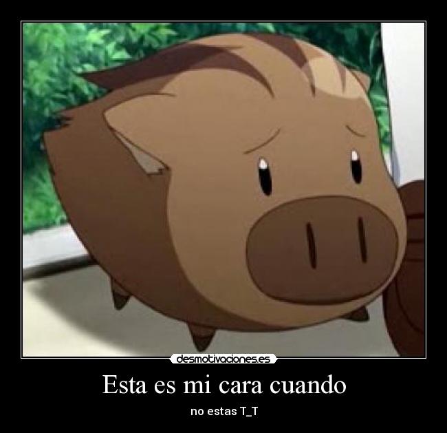 Esta es mi cara cuando - 