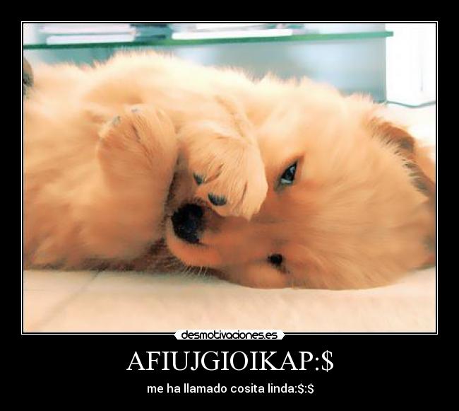 AFIUJGIOIKAP:$ - me ha llamado cosita linda:$:$